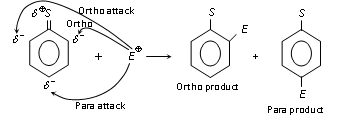 337_ortho para directing1.png